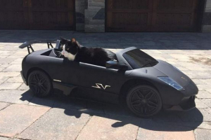 Dj з канади купив автомобіль супшів Dj з канади купив автомобіль супшів